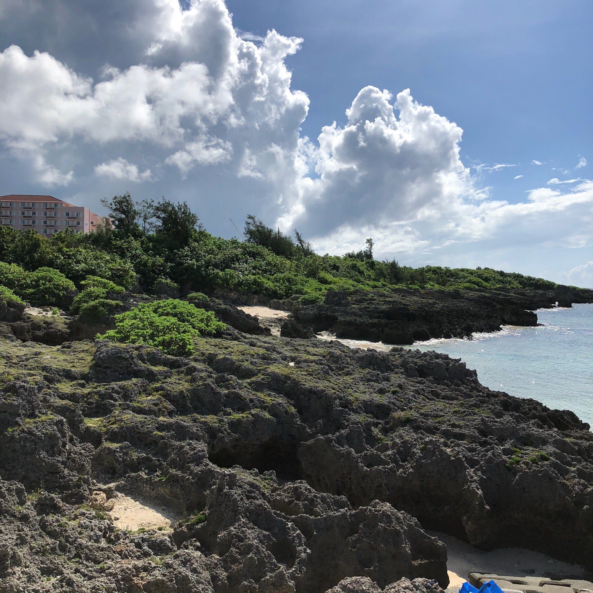 🏖️ わいわいビーチ 이미지 7